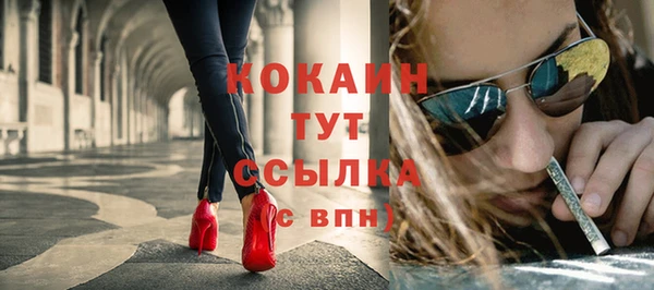 амф Тайга